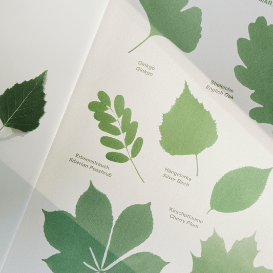 Tree Leaves Print