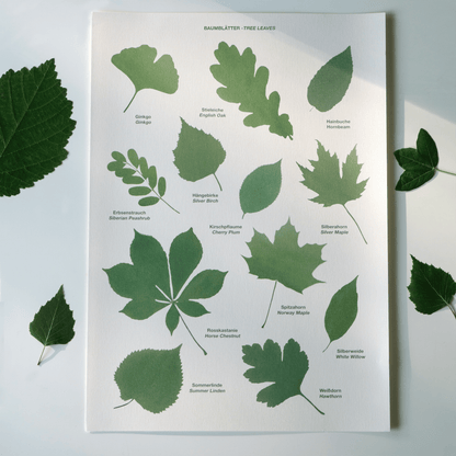 Tree Leaves Print