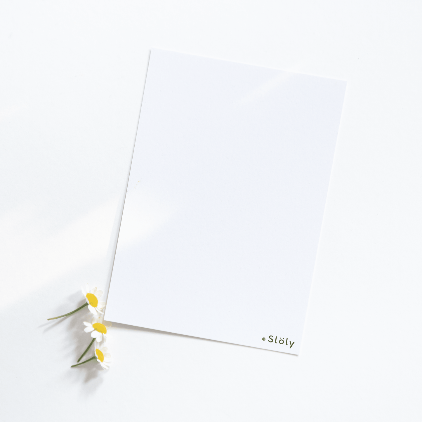 Design by Sloly postcard back blank side