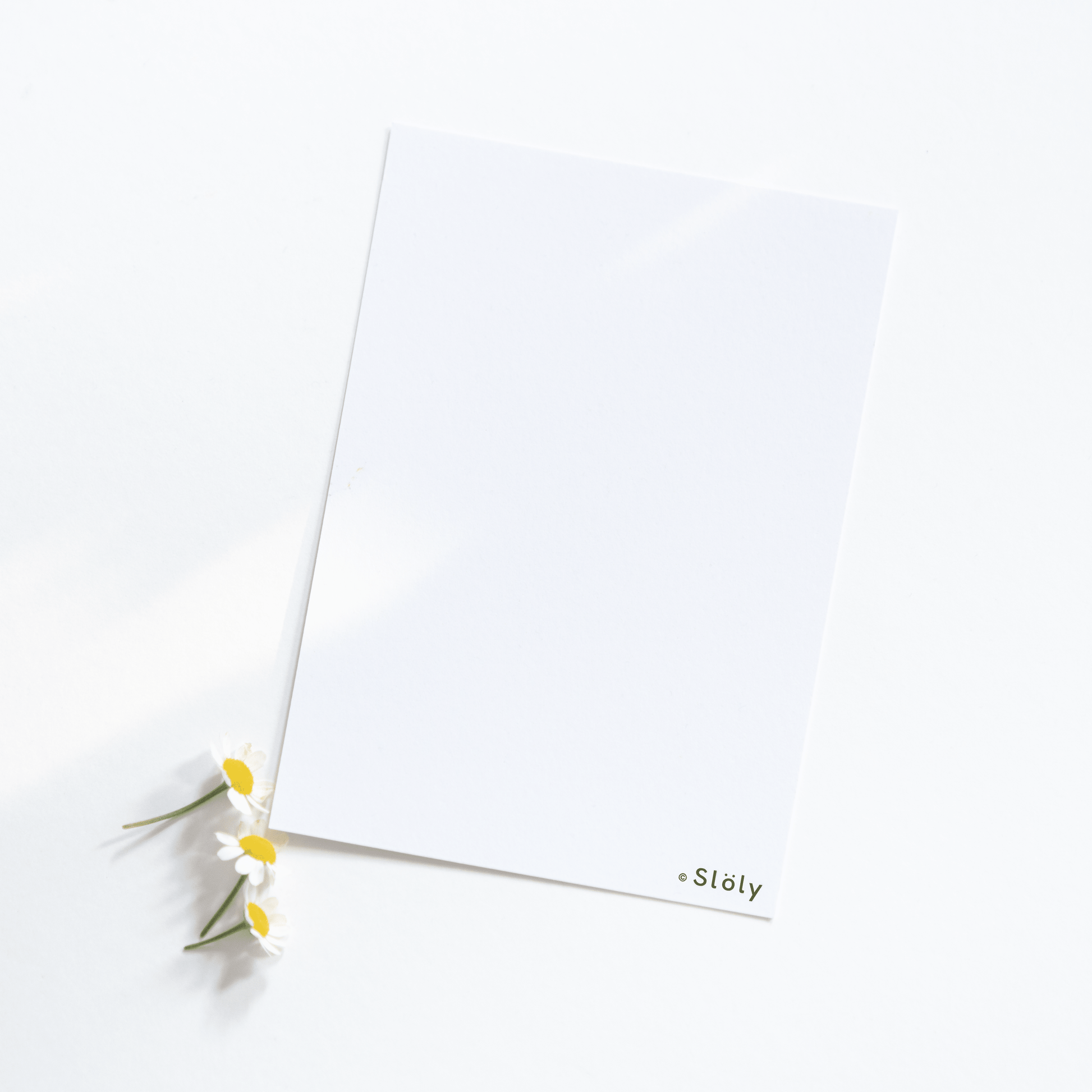 Design by Sloly postcard back blank side