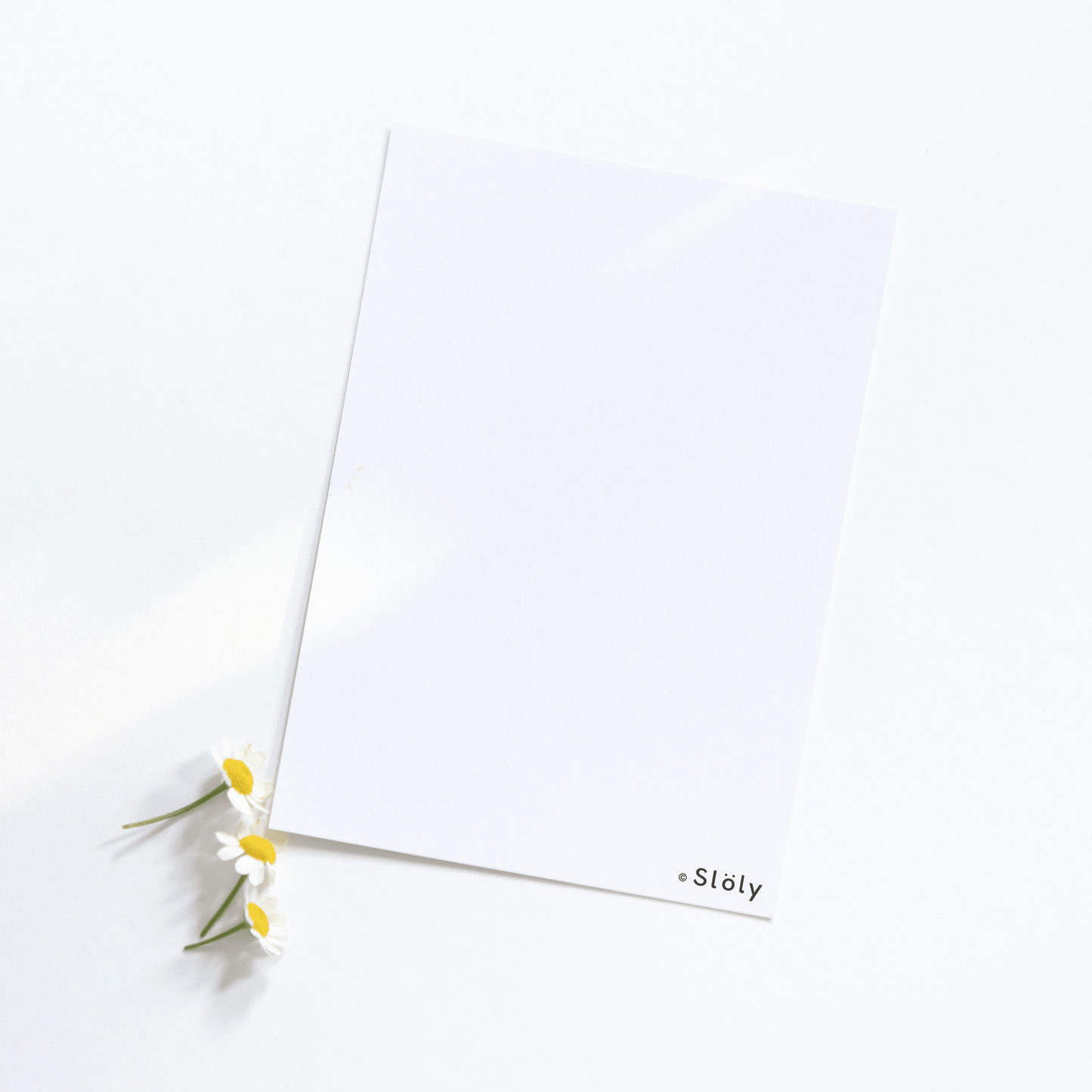 Postcard hintern A6 weiß matt Papier Slöly Shop logo